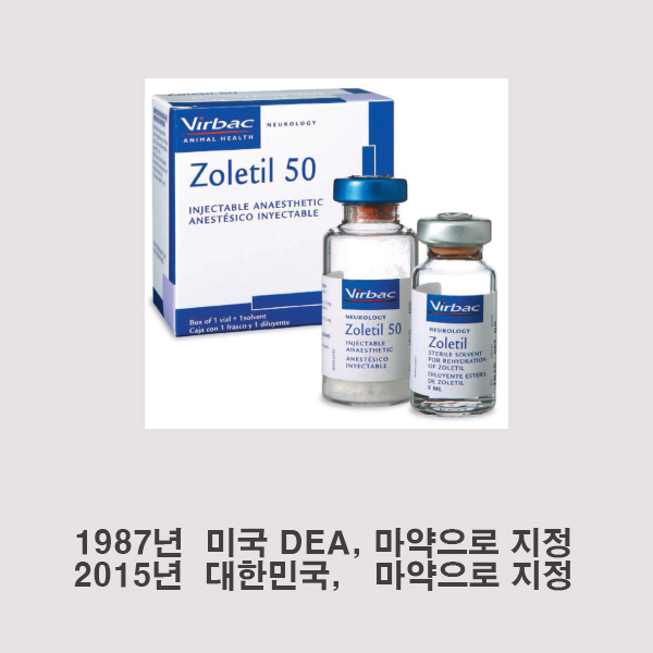  김성재 여자친구 무죄사유+마약된 졸레틸