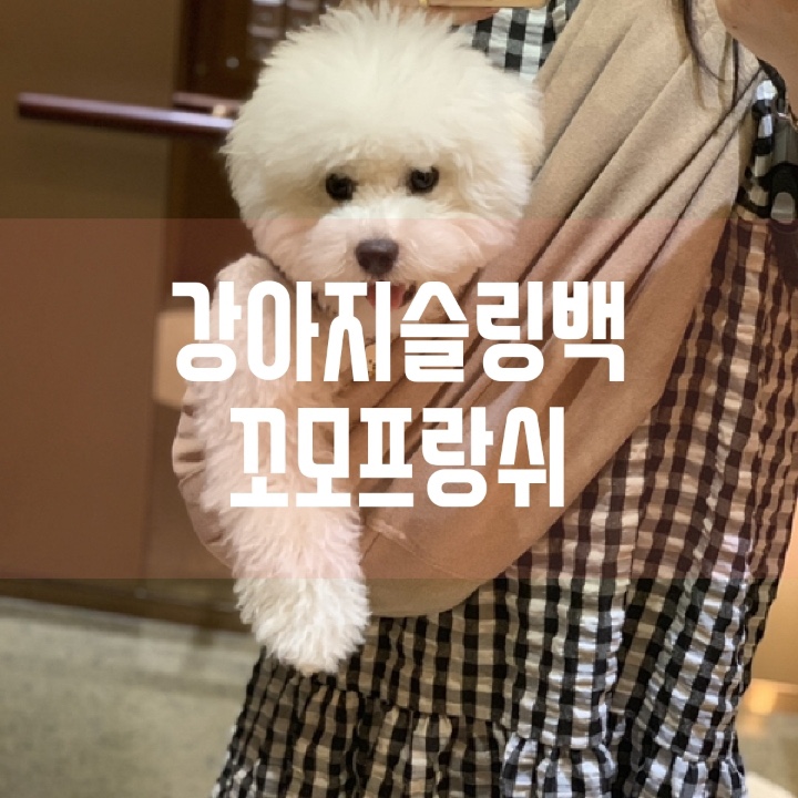  강아지슬링백 강아지이동가방 추천 꼬모프랑쉬