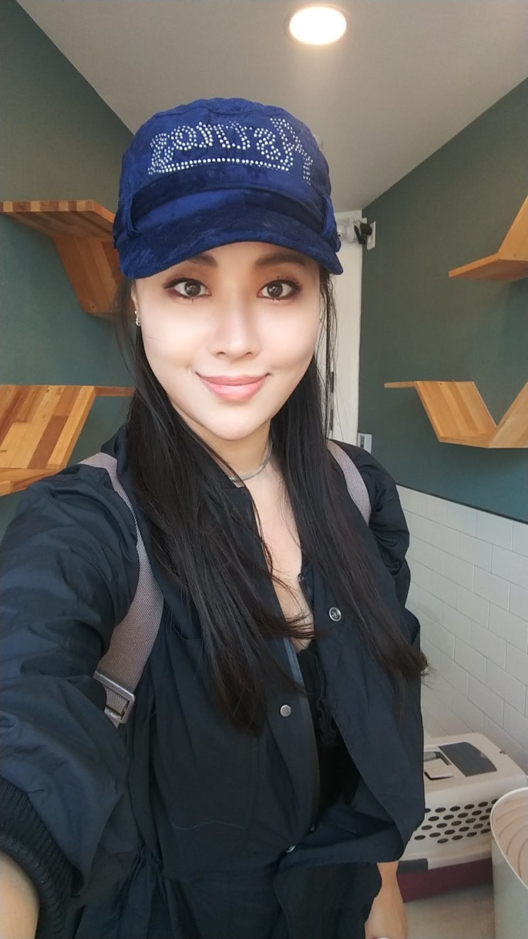  고양이 전용 호텔 1박기+ 우여곡절 스토리