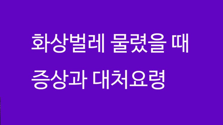  베트남 화상벌레  물렸을 때 증상과 대처요령