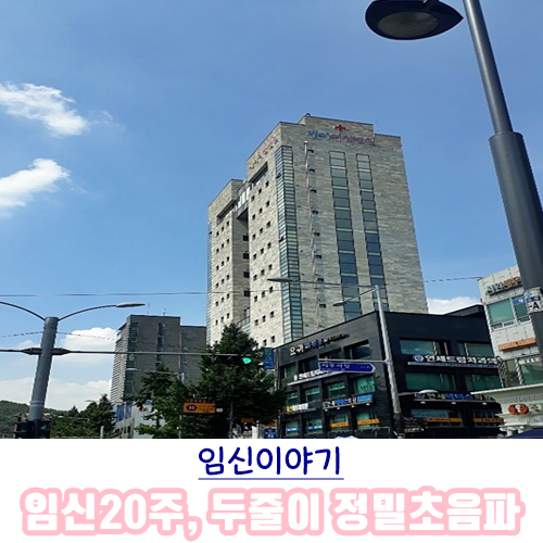  [임신이야기]임신 20주 :: 홍제산부인과 제이여성병원으로 분만병원옮김, 두줄이 정미초음파후기[보험적용 및 비용](feat. 산부인과병원 옮길시 필요서류)