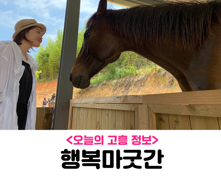  <오늘의 고흥정보> 행복마굿간