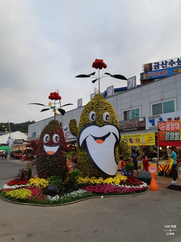  금산 인삼축제