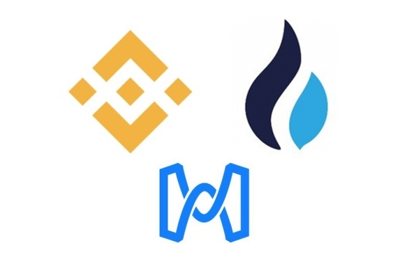  BNB 코인, HT 토큰, BHT 토큰 거래소 코인 비교 분석