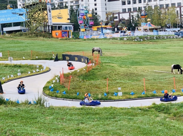 용평리조트 루지 후기 & 발왕산 케이블카로 평창의 바람을 즐기는 이유