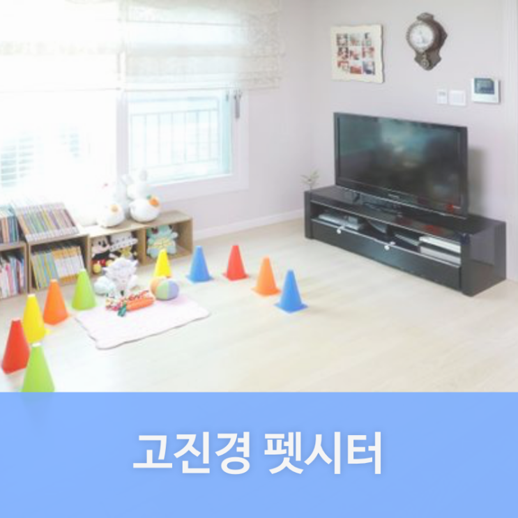  동작구 상도동 펫시터 고진경님을 소개합니다. | 상도동 애견호텔, 애견유치원, 강아지유치원, 강아지호텔 찾는다면 펫플래닛