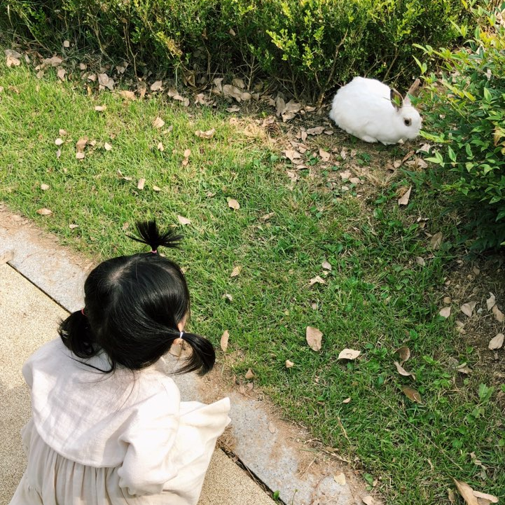 아기랑데이트 서래마을 몽마르뜨공원 ::토끼가 살아요