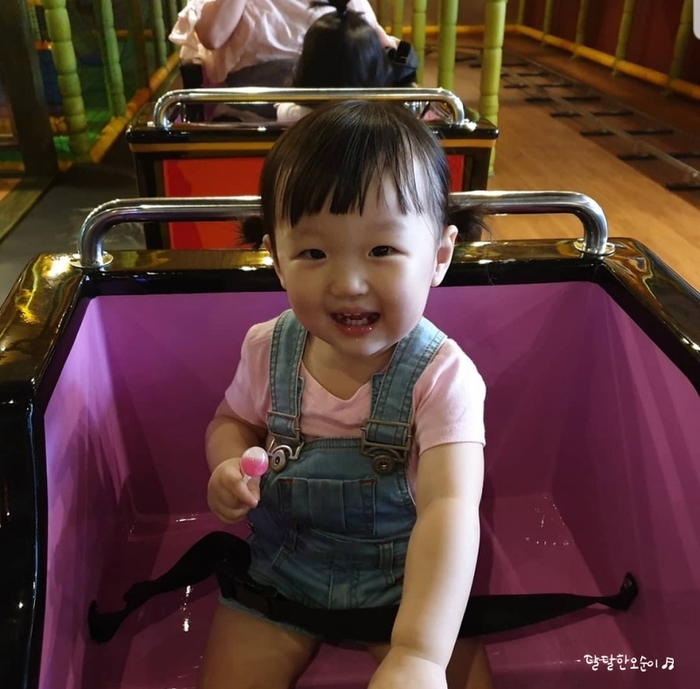  대전 키즈카페 그레이트피그미풀 무제한으로!