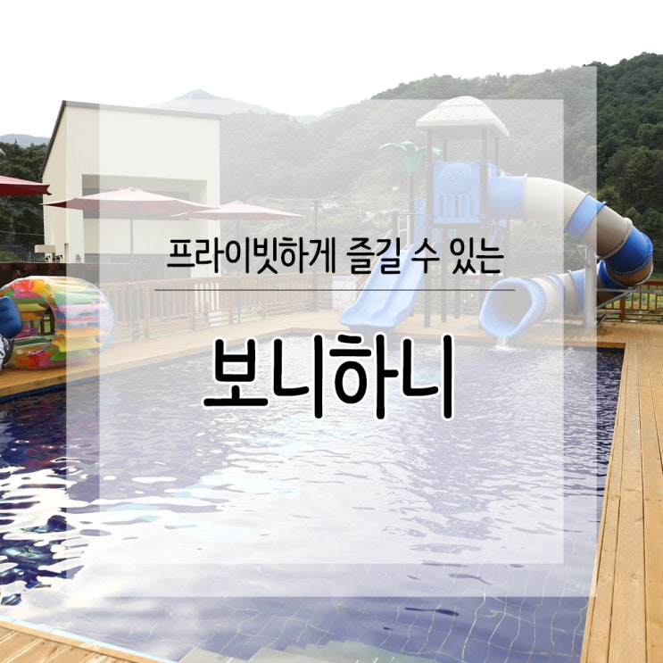  가평 신축 애견펜션 보니하니 갔다왔어요!