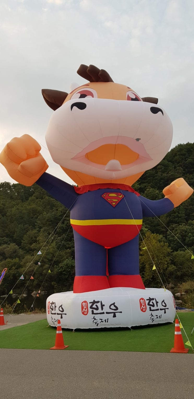  횡성 한우 축제