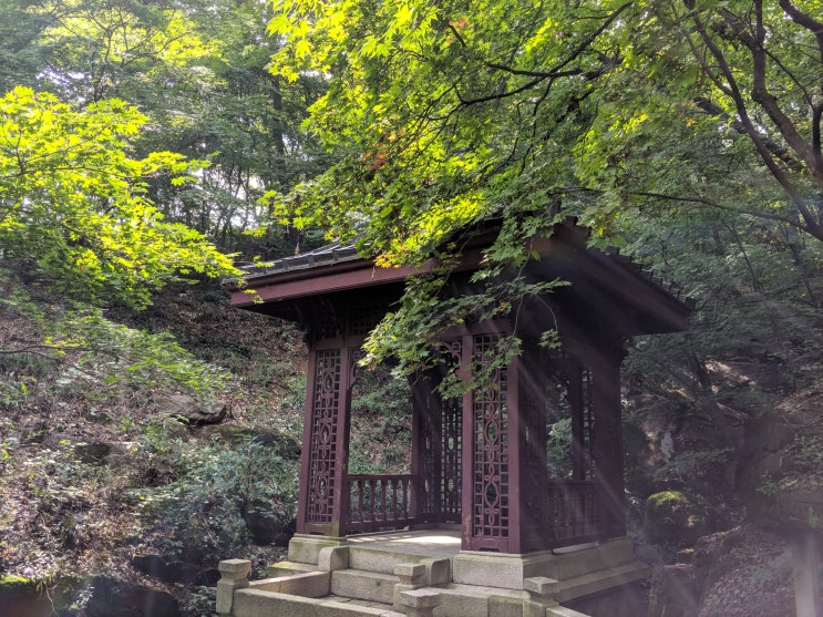  [종로구] 가을맞이 부암동 석파정 산책