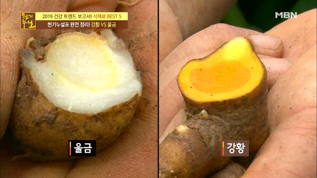  <장안동한약> 강아지구충제 논란과 함께한 약재 '강황, 울금'