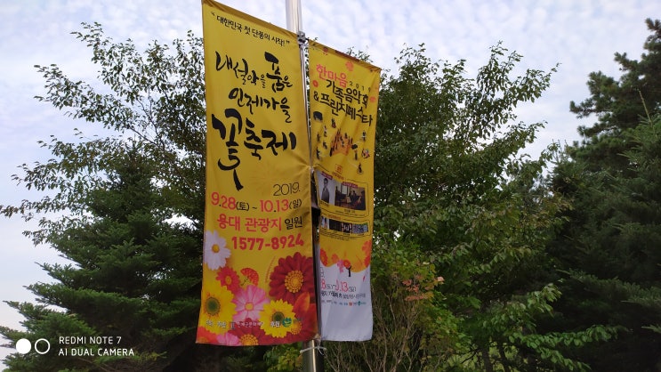  이쁜 "가을꽃" 구경하기 / "인제 가을꽃 축제"에 들려 꽃  구경 하고 오다