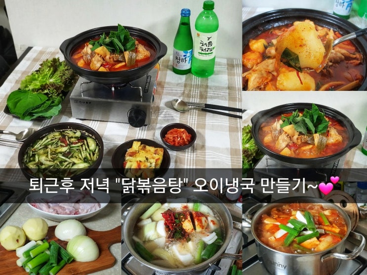  [닭볶음탕만들기] 요리하는백구/백종원레시피/오이냉국/저녁식사/닭볶음탕/닭도리탕/집밥^^