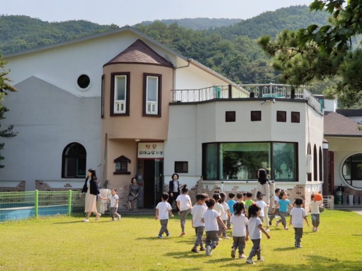 비고츠키 교육 중심의 작은 왕국 어린이집이 SBS CNBC 성공의 정석 꾼 방송에 나와요