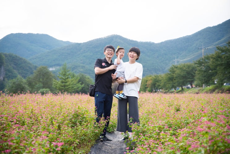  영월살이, 붉은메밀꽃밭