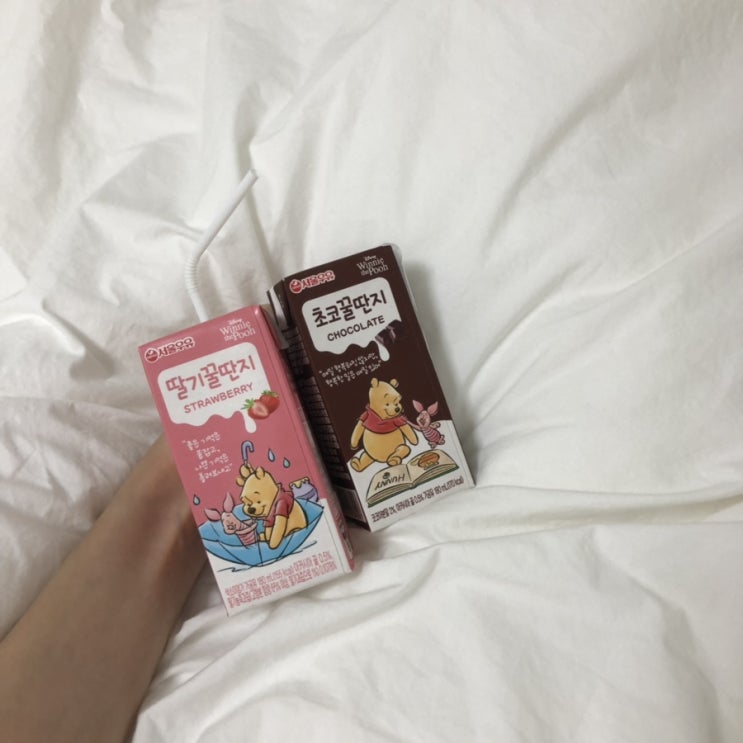  금공강이 승리자 c