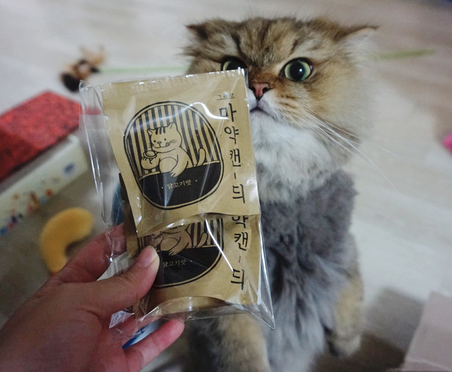  고양이 간식 추천! 그르르 마약캔디 너무잘먹어~!