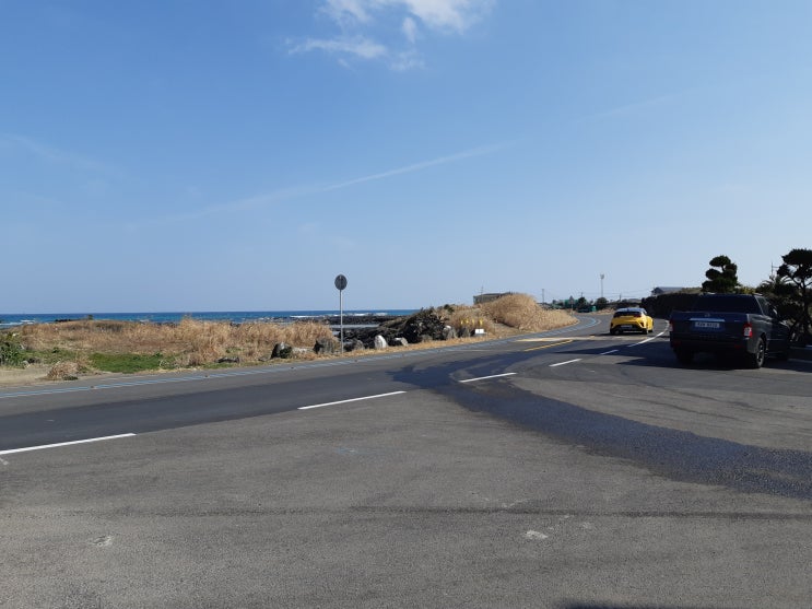  【 제주토지매매 · 제주도땅 】 제주 동부 해안변에 귀한 토지 - 바다경관 최상 / 토목공사 완료된 사업용 토지 - 구좌읍 한동리