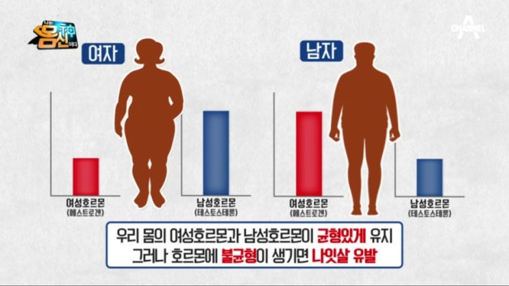  [나는 몸신이다] 246회 쉽게 찌고 빠지지 않는 지긋지긋한 살-나잇살ㅜ젊은 사람도 조기 폐경이 오면 나잇살이 찔 수 있다?!