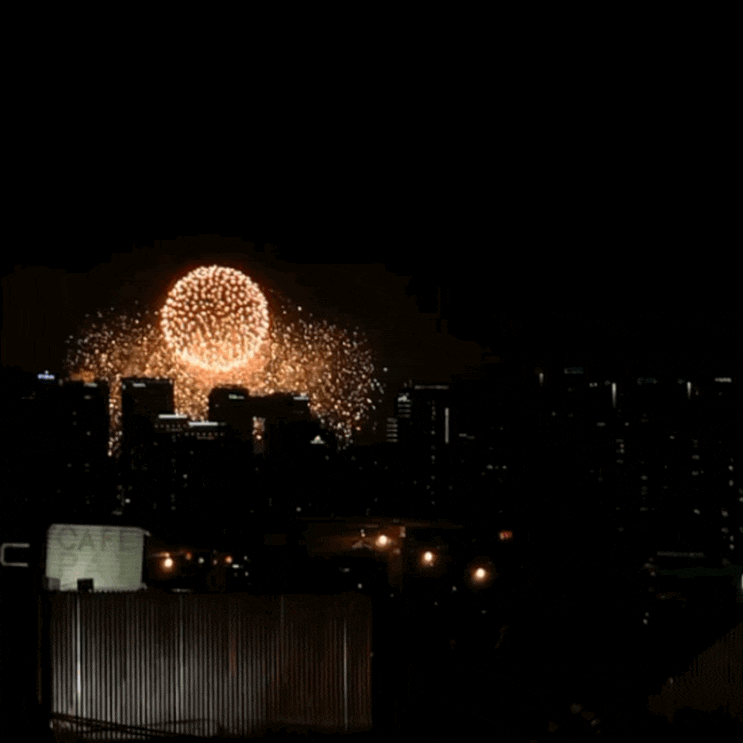 주말이야기, 남대문 브롤스타즈 레온 옷 후드, 서대문형무소, 2019 서울불꽃축제 남산 서울타워 주말이야기, 남대문 브롤스타즈 레온 옷 후드, 서대문형무소, 2019 서울불꽃축제 남산 서울타워