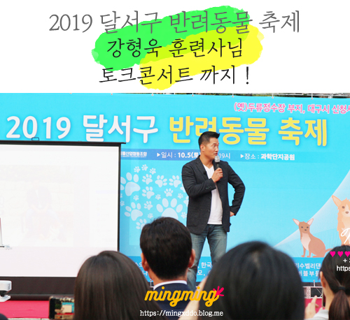  2019 달서구 반려동물 축제 , 강형욱 훈련사님 토크콘서트까지!