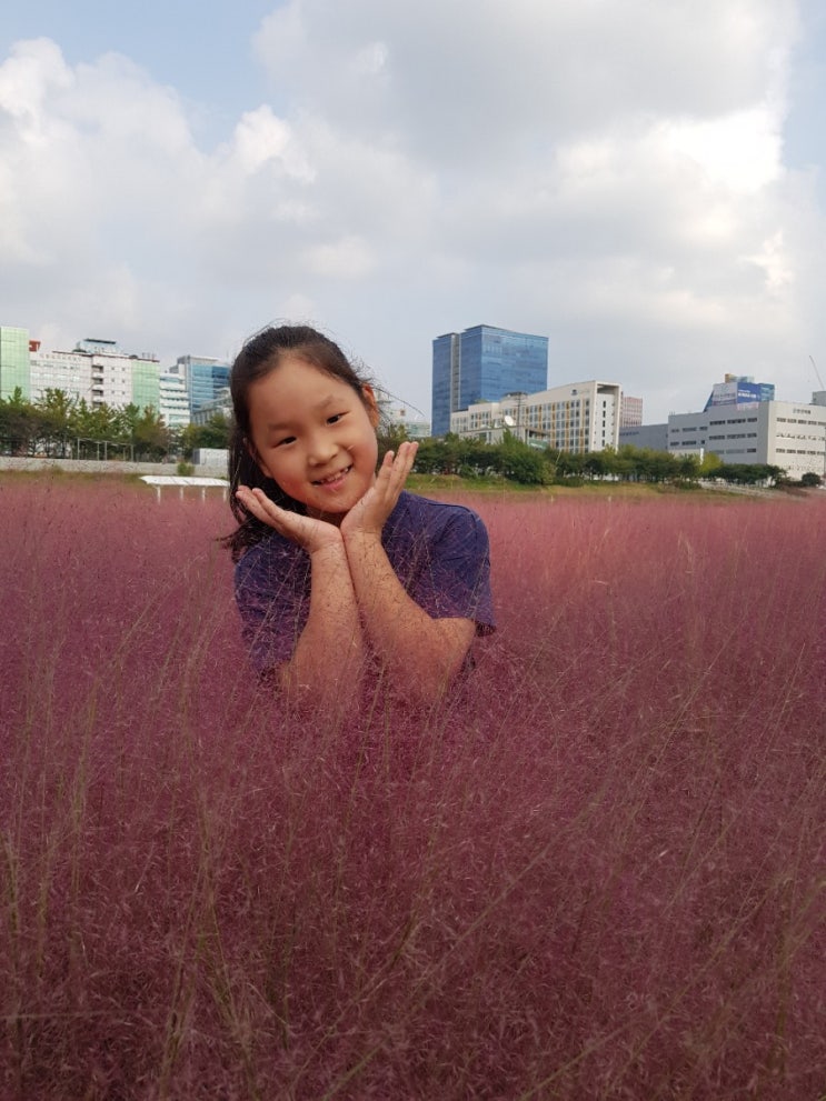  가을 핑크뮬리
