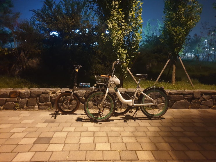  신랑과 급 운동한 한강 자전거 질주 (feat. 따릉이, 알톤전기자전거)