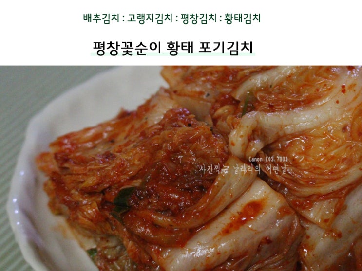  배추김치 평창꽃순이 황태 포기김치 2.5kg 집에서 먹자
