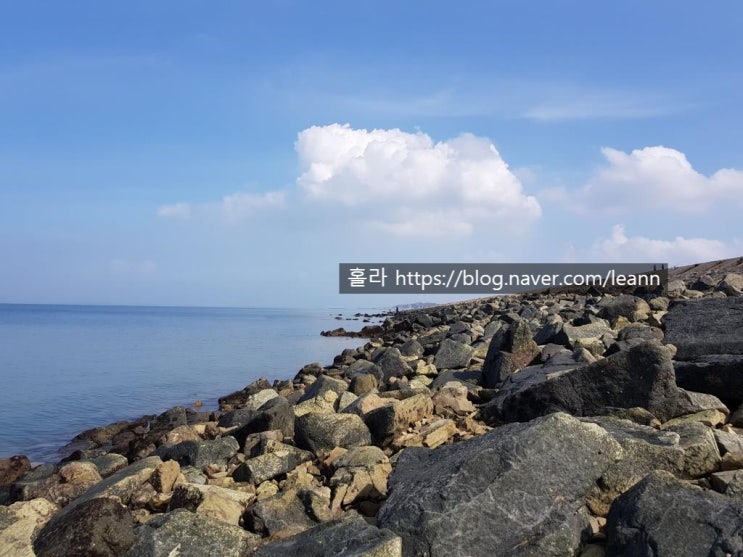  충남 당진 석문방조제 낚시 답사