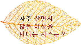  삶에서 많은 이성의 미녀 미남을 만나는 사주팔자 애정궁합은 ?