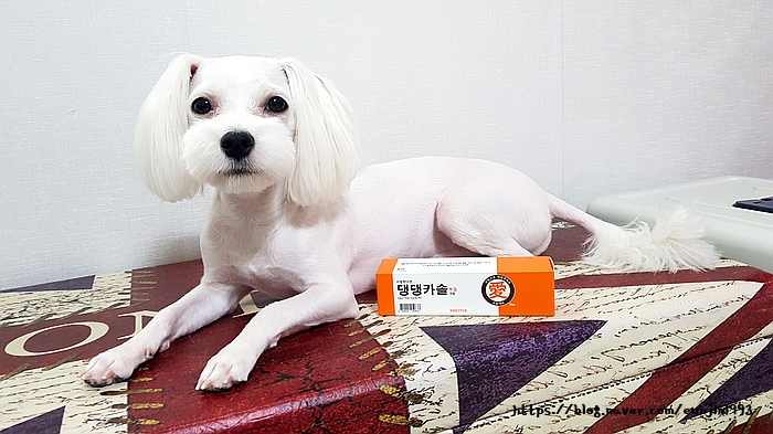 강아지 건조한 피부는 댕댕카솔 천연보습크림으로 케어하자