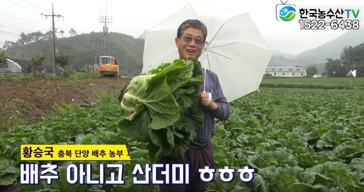  배추 병충해 이렇게 예방하세요 !!