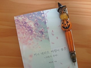  비가 내리듯, 바람이 불듯 -그대가 온다 - (최유정)