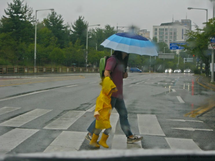  그래도 간다...Life...