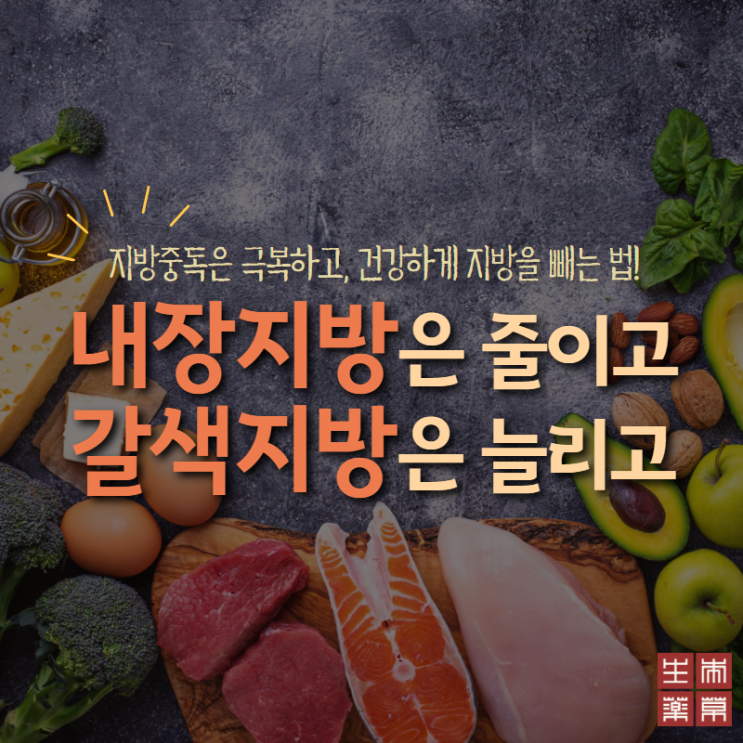  ‘내장지방’은 줄이고, ‘갈색지방’을 늘리는 방법!