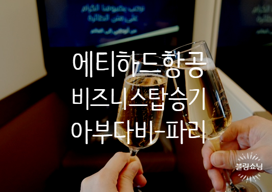  ['19.런던&파리] 에티하드항공 비즈니스 클래스 탑승기 (아부다비AUH-파리샤를드골CDG, EY 37편)