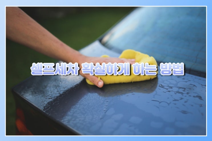  셀프세차, 제대로 하려면 이렇게!