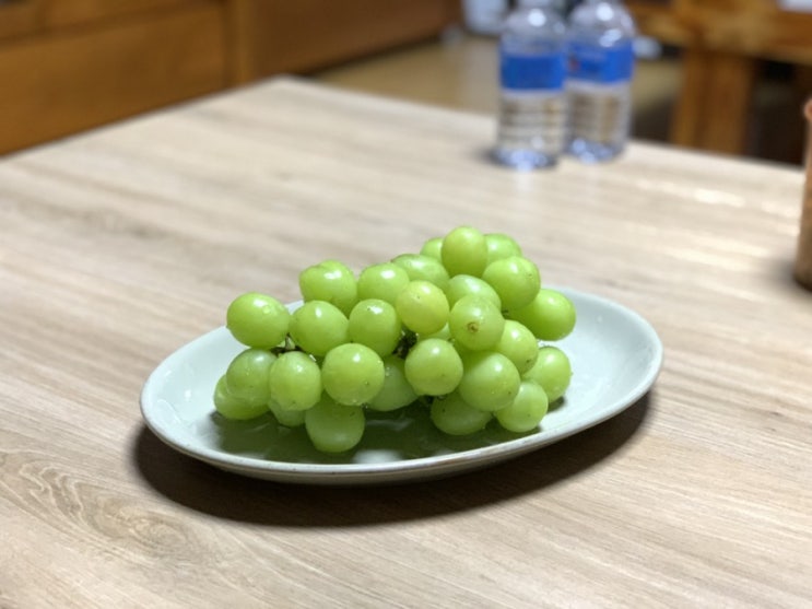  이제야 먹어본 '샤인머스켓' 후기