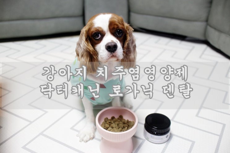  강아지 치주염영양제  닥터캐닌 로가닉 덴탈 강아지 이빨 관리 잘 해야해요