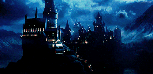 해리포터덕후의 해리포터 시리즈 리뷰 《해리포터 호그와트 기숙사》 🧹 : 네이버 블로그