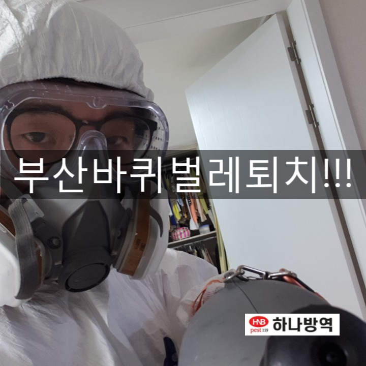  부산방역업체 하나방역에서 부산바퀴벌레퇴치 사례!
