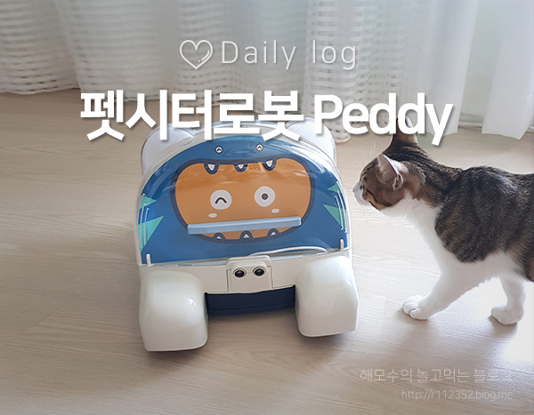  펫시터 로봇 페디(스마트폰cctv) 구매후기 : 반려동물이 혼자 집에있는게 불안한 집사님들에게 추천!