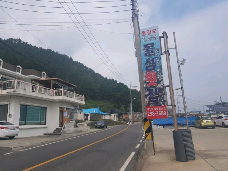  싱싱하고 맛있는 회 맛집 울산 북구 강동동 횟집 [돌섬횟집]
