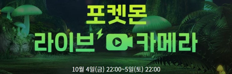 포켓몬스터 소드 실드 라이브 카메라 관찰 결과 정리!