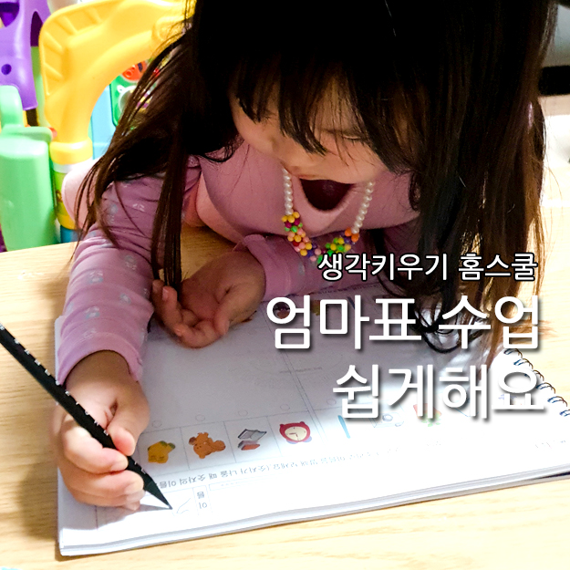  생각키우기 홈스쿨 학습지 추천, 엄마표 5세 한글시작