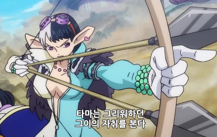  원피스 905화 애니 자막