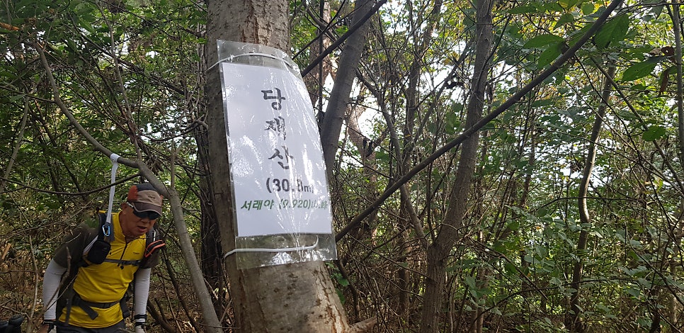 등잔거리산 사진 4