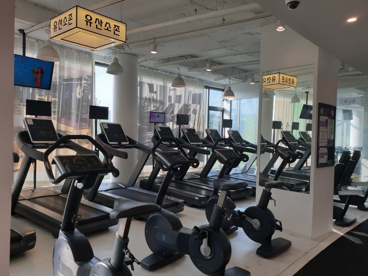  마곡헬스장 마곡PT는시설좋고 만족도 높은 피트니스 더 핏불에서