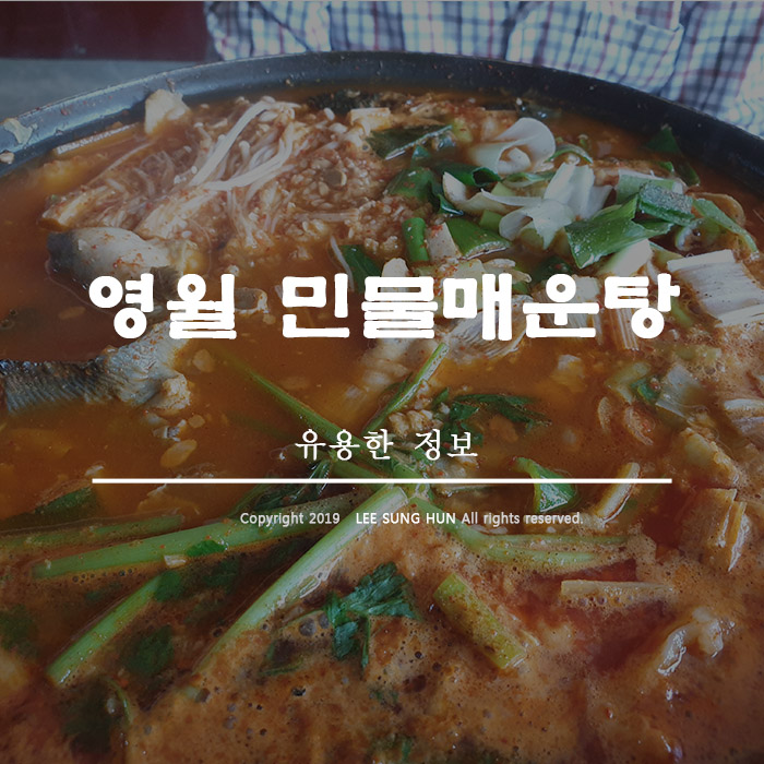  영월 민물매운탕 맛있긴 하다